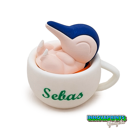 POKETAZA DE CYNDAQUIL